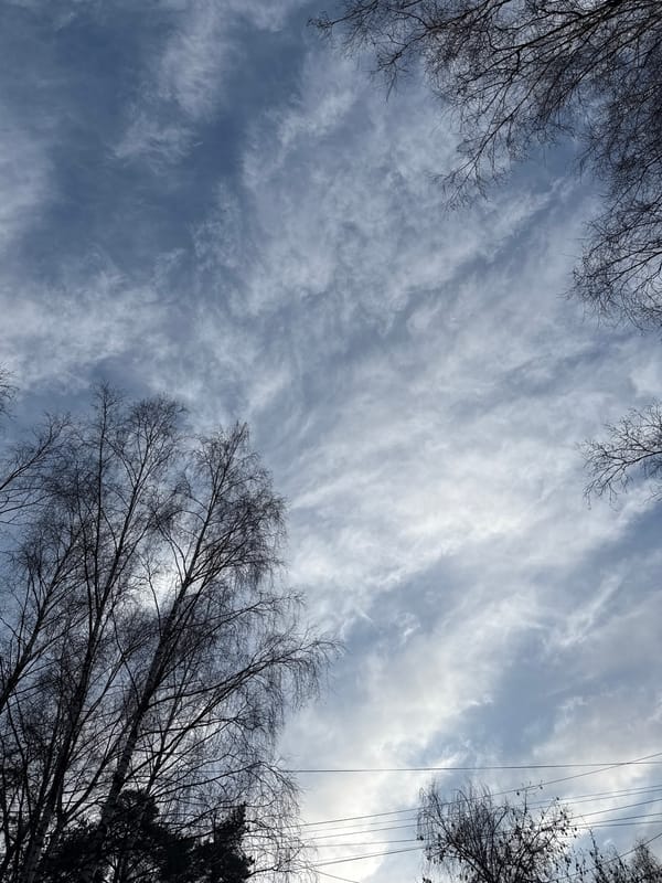 Afternoon scenes documented across Dmitrov, Russia