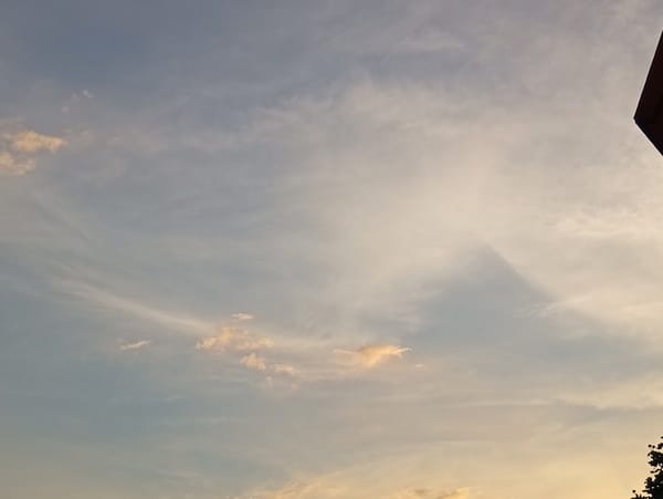 A laid-back evening at home in Langenthal