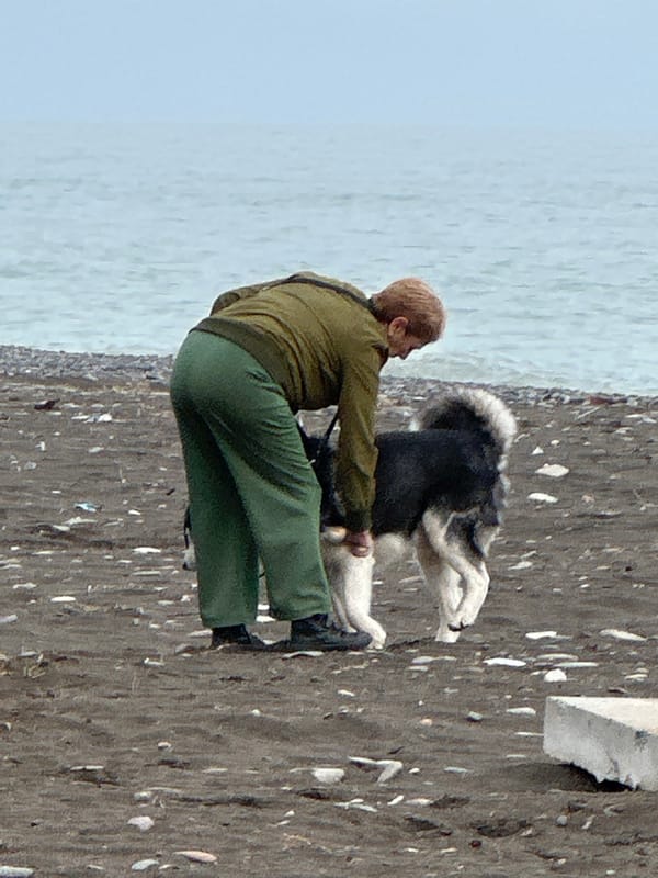 Morning street scenes and daily life captured across Batumi