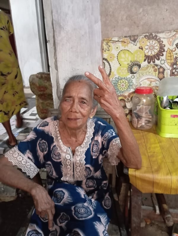 Quiet evening moments captured in Baron: elderly woman, wandering duck