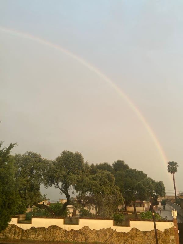Rainbow spotted over Spanish residential area amid gray skies
