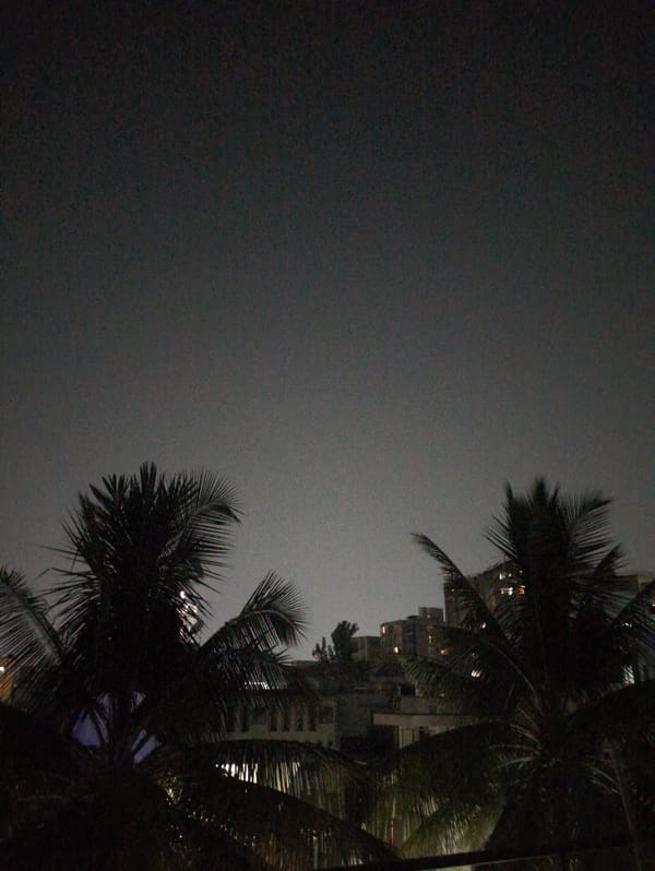 Overcast night scene with palm trees captured in Bengaluru