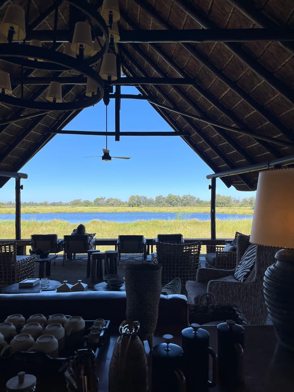 Dining scenes captured at thatched restaurant in Khwai, Botswana