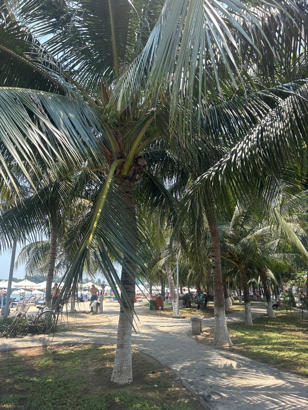 Early morning street scenes captured in Bắc Nha Trang