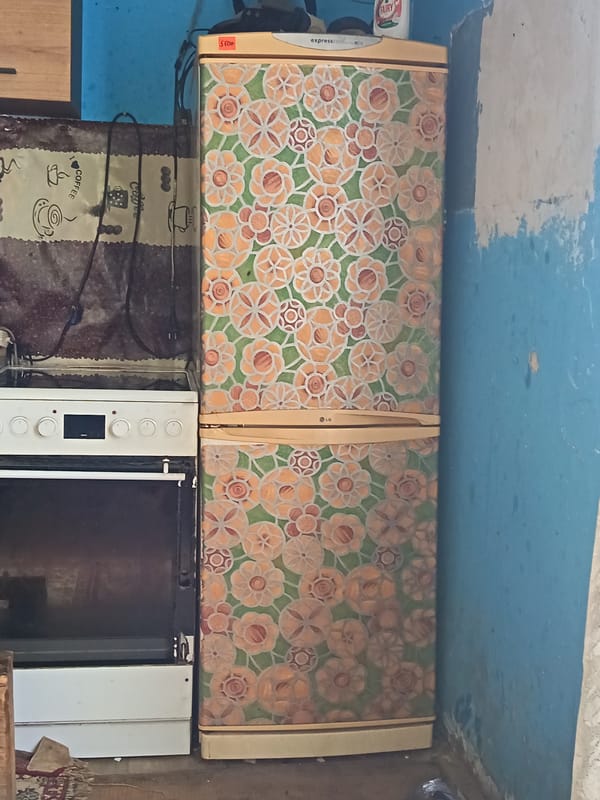 Everyday household scenes: appliances, a sleeping cat, and a sandal