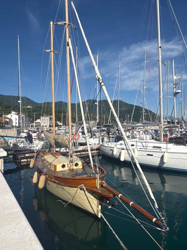 Quiet afternoon moments captured at Montenegro marina with boats, cat