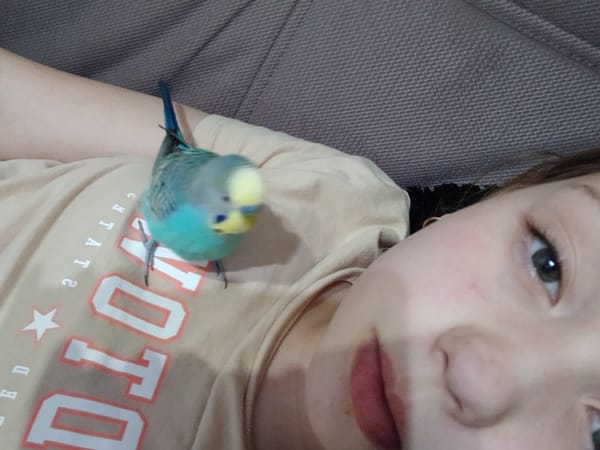 Family pet bonding moments captured in Krasnodar home