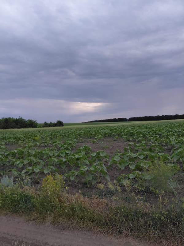Late afternoon countryside exploration in Ustyvytsia, Ukraine