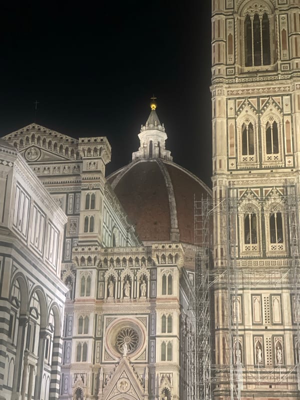 Nighttime photo captures Florence's iconic Duomo cathedral
