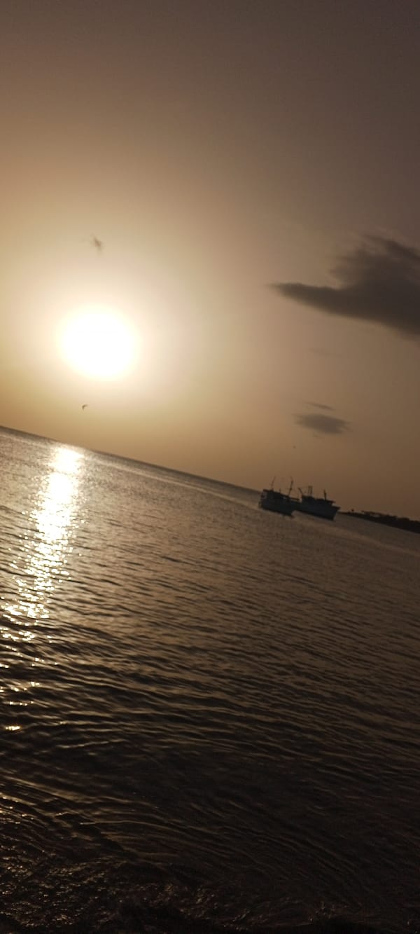 Sunsets, shorelines, and street life across unknown locations