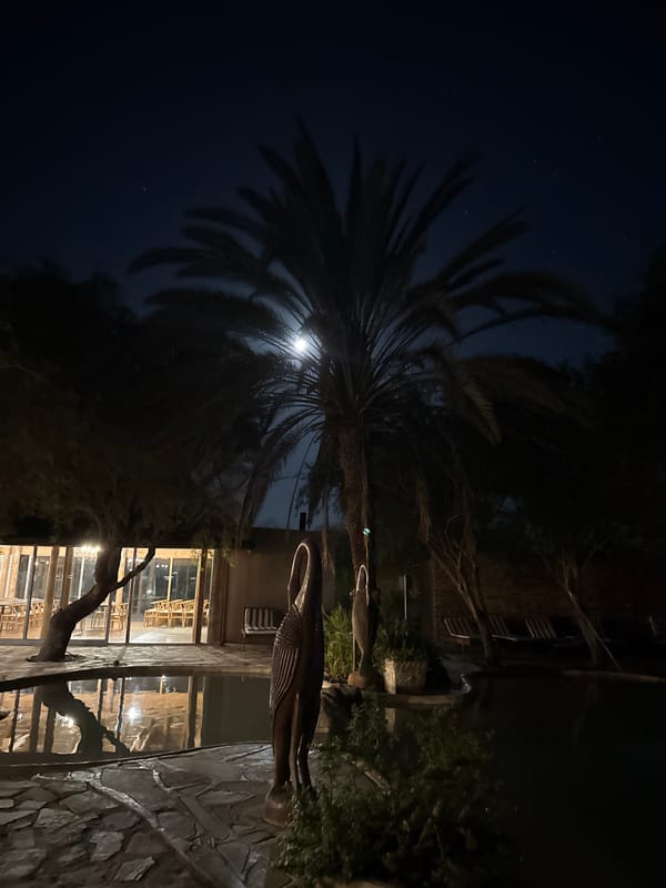 Nighttime photography documents tranquil scenes in Aussenkehr, Namibia