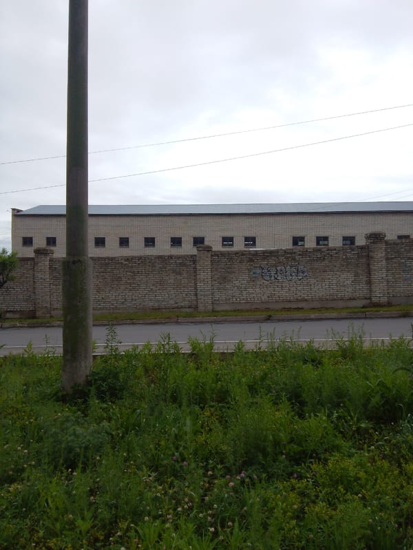 Street-level Khabarovsk: wildflowers, shops, and overcast skies