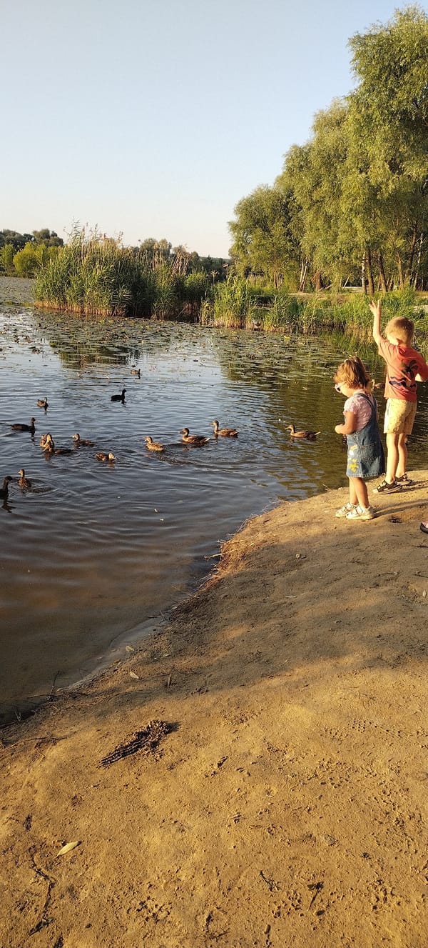 Ducks, golden statues, and a dog by a Pisochyn lake at sunset