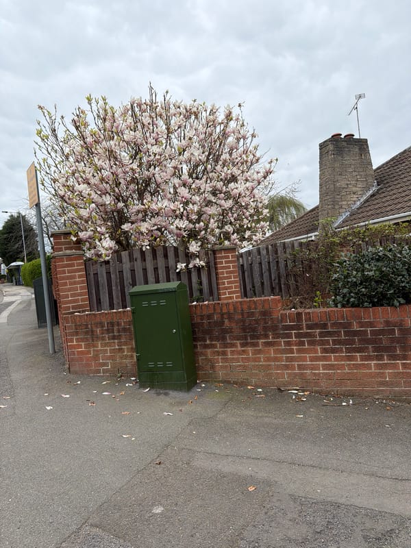 Spring afternoon street life captured across Rotherham area