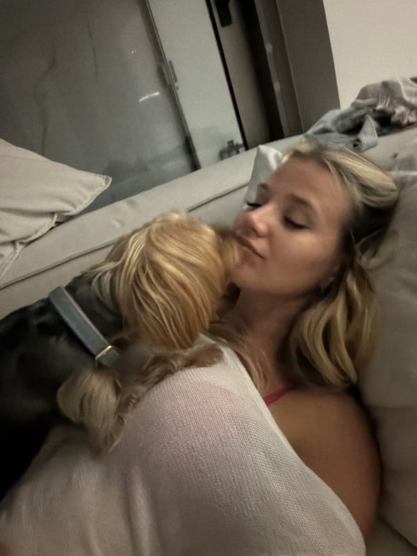 Lazy morning in with a Yorkshire Terrier, Phuket