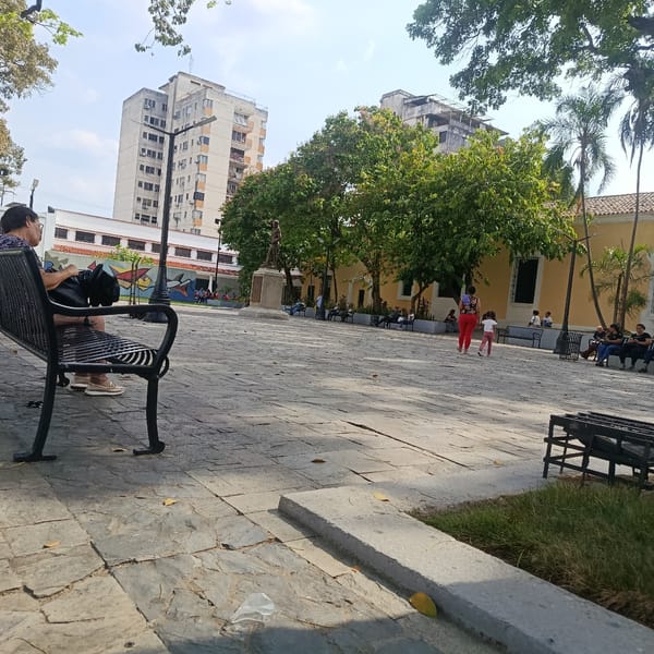 Evening scenes captured across Valencia's public spaces and landmarks