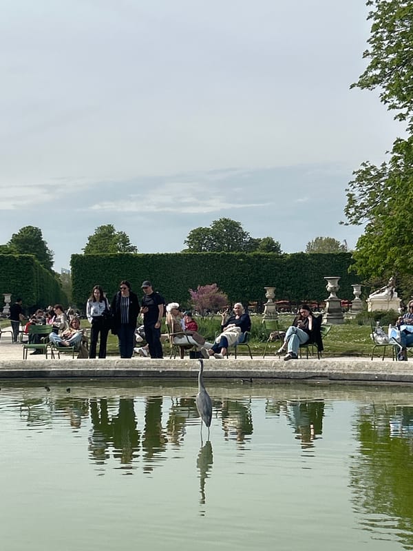 Parisians relax by Tuileries garden ponds during midday break