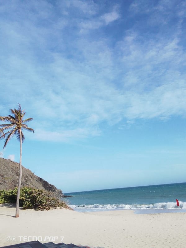 Tropical beach scene documented in Pedro González, Venezuela