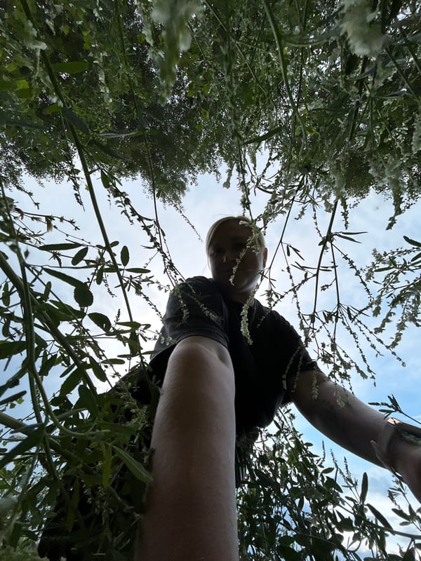 Selfies and river views along the Kama in Chaikovsky