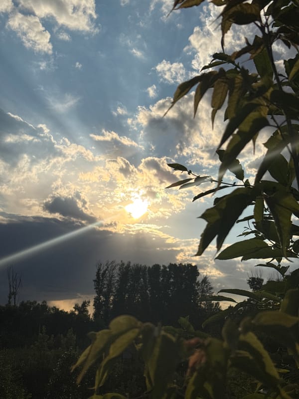 Golden-hour clouds and sunbeams across urban and suburban skies