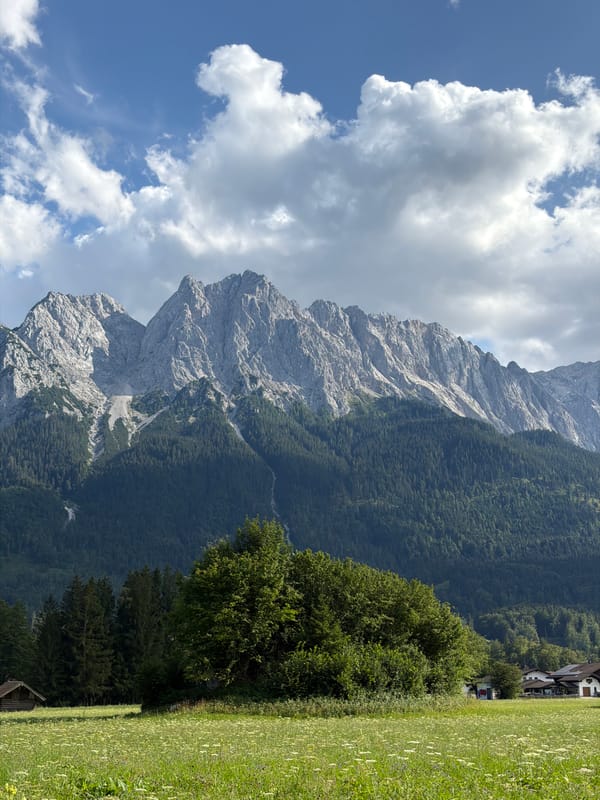 Meadows, village, and forest in the Grainau Alpine landscape