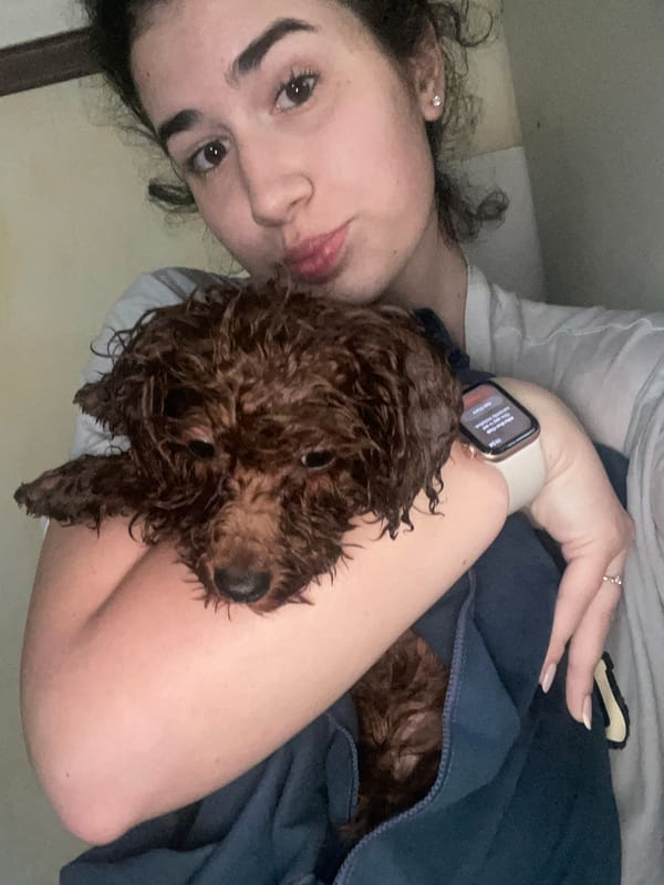 Dog bath time captured in Sofia bathroom
