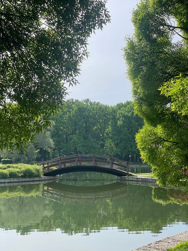 Peaceful morning scene of wooden bridge reflected in Moscow waters