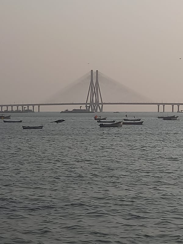 Morning scenes captured around Mumbai's Bandra-Worli Sea Link area