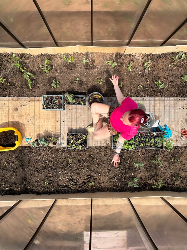 Woman documents morning gardening session in Chaikovsky greenhouse