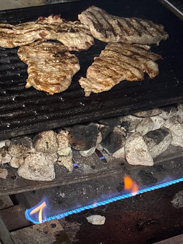 Dog watches backyard grilling session in Bulgarian village