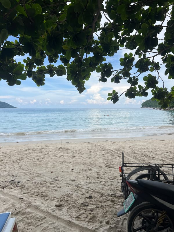 Quiet Thai beach: guinea fowl, boats, and a red flag