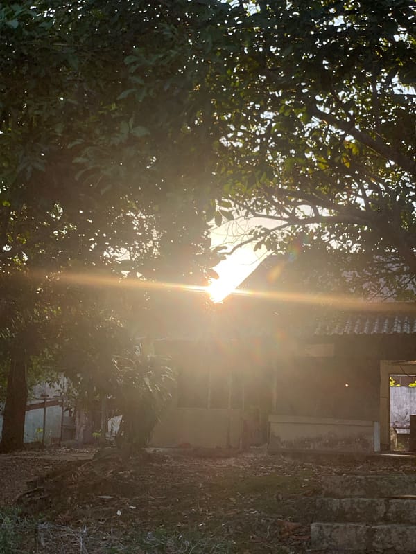 Banjarbaru neighborhood life under golden tree-filtered light