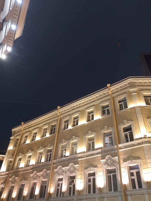 Night architecture and a cat in Saint Petersburg