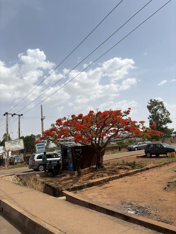 Daytime street life documented across two Nigerian neighborhoods