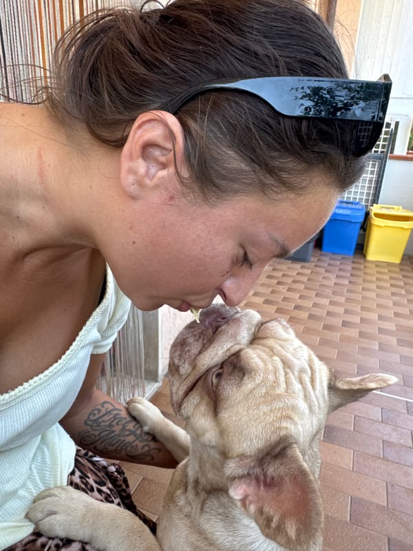 French Bulldogs on a sunny Italian patio, mid-morning