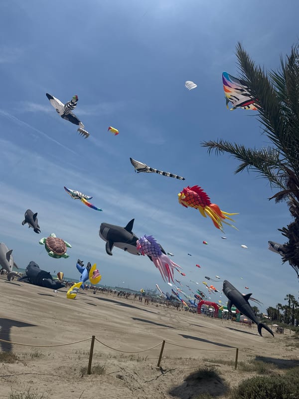 Vibrant kite festival draws crowds to Spanish beach