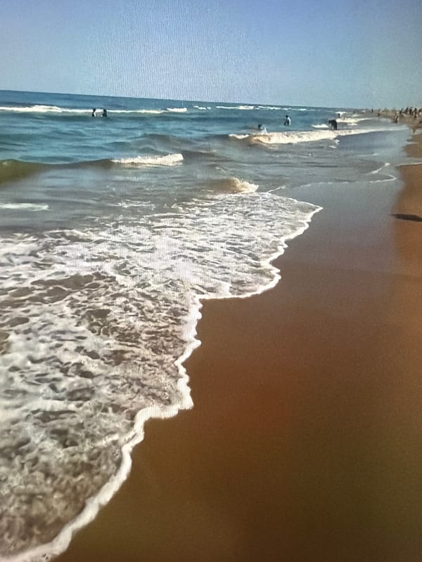 Coastal resort walk: beaches, quirky architecture, and shoreline scenes