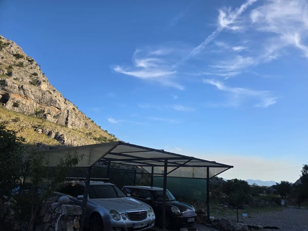 Afternoon at a mountain property: dogs, plants, and rocky peaks