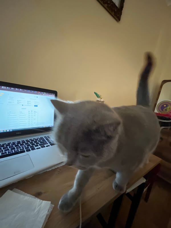 Coffee and cake moment captured in Alanya, Turkey