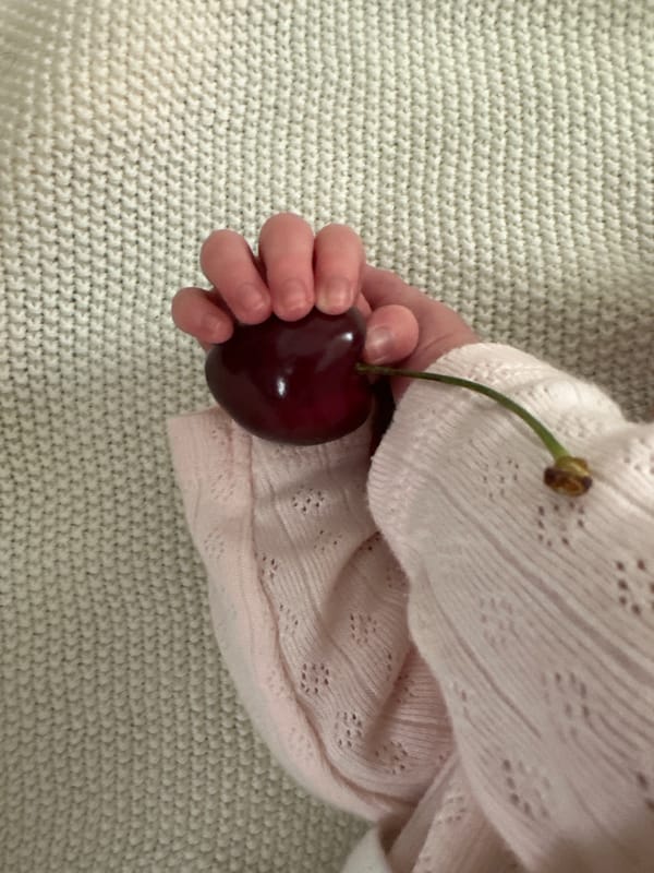Baby discovers cherry on knitted surface in Wisła