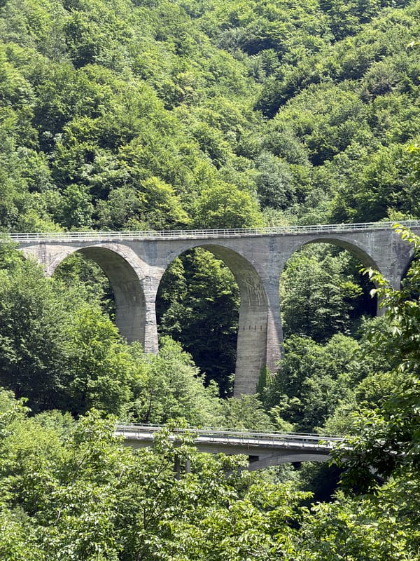 Three-arch concrete bridge photographed spanning forest in Montenegro