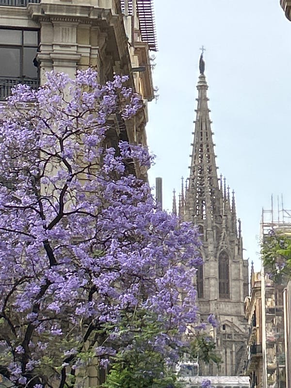 Morning street life captured across Barcelona's city center