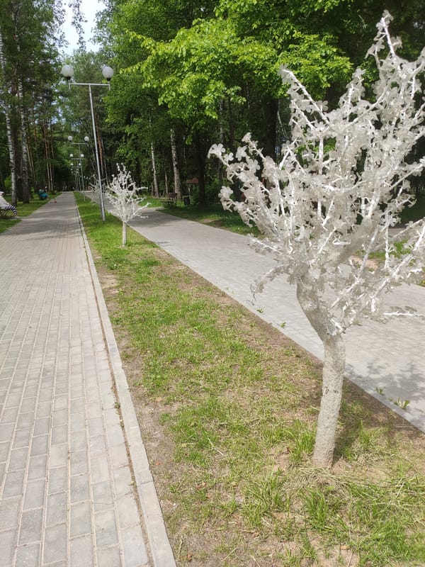 Morning walk documented through parks and streets in Navapolatsk