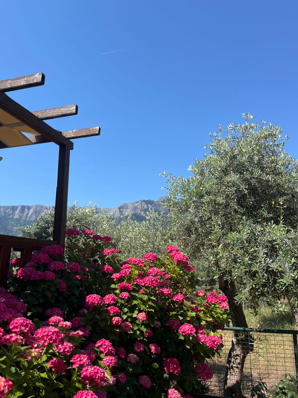 Morning memories capture Mediterranean beach, gardens, and mountain views