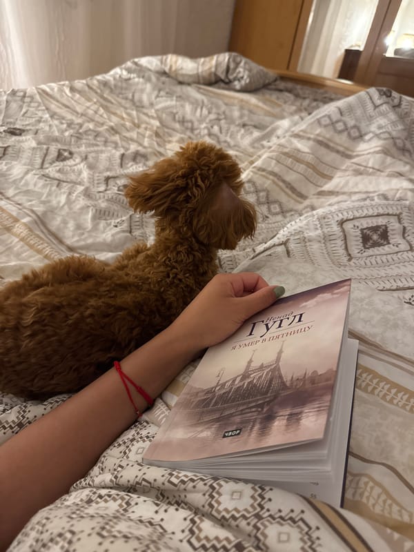 Quiet evening moments shared between woman and poodle in Montenegro