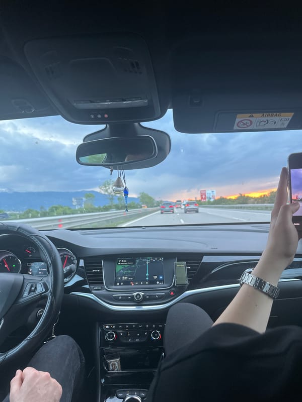 Driver uses phone on highway near Lozen during sunset