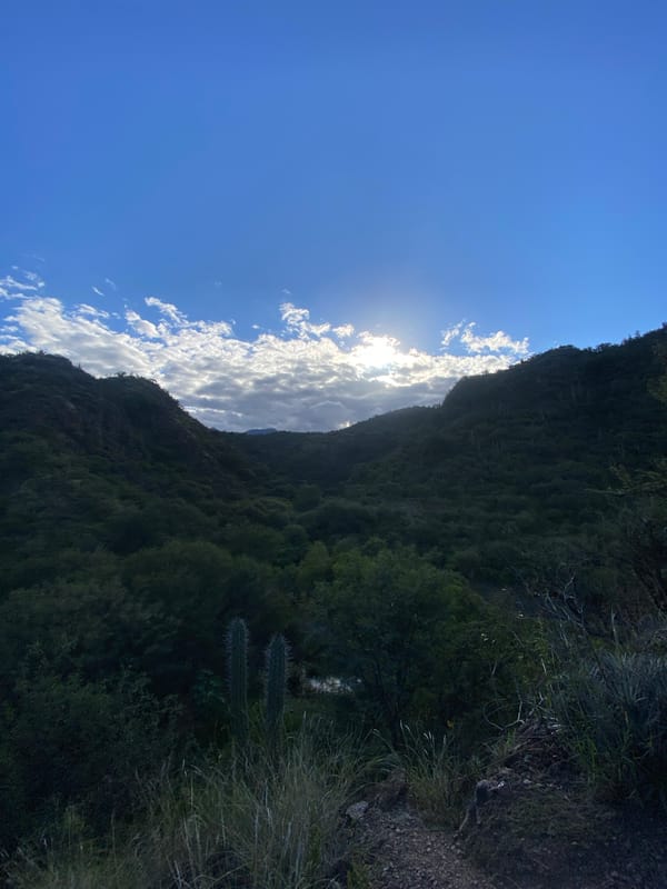 Mountain landscapes documented near Catamarca, Argentina