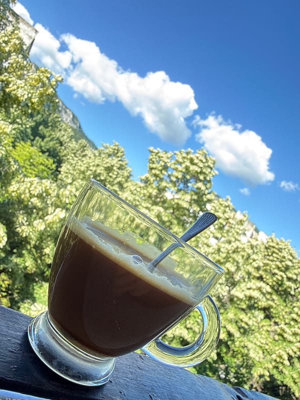 Morning coffee and pets on Vratsa balcony overlooking mountains