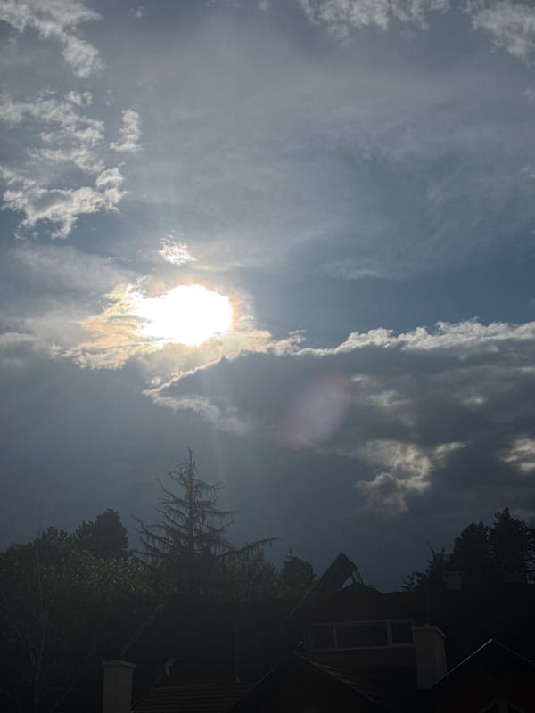 Afternoon domestic life documented with cats and skies in Sofia