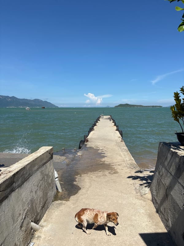 Coastal travel day: waterfront views, local scenes, and breakfast